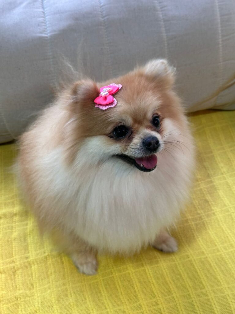 WhatsApp Image 2025-11-05 at 19.54.48 (3)