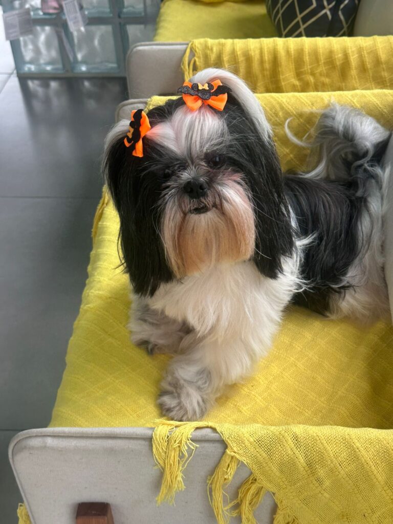 WhatsApp Image 2025-11-05 at 19.54.48 (4)