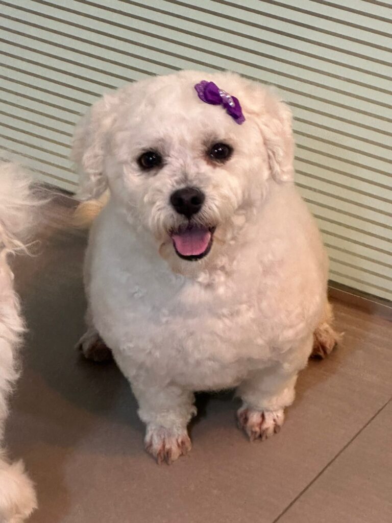 WhatsApp Image 2025-11-05 at 19.54.48 (5)