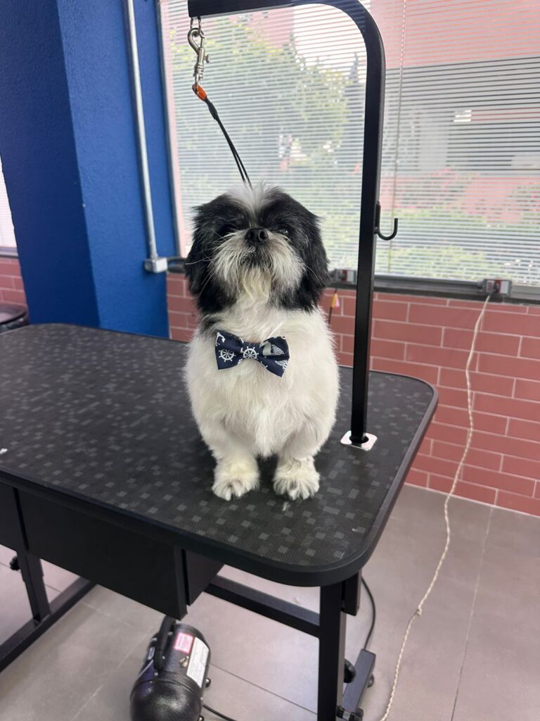 WhatsApp Image 2025-11-05 at 19.54.48 (9)