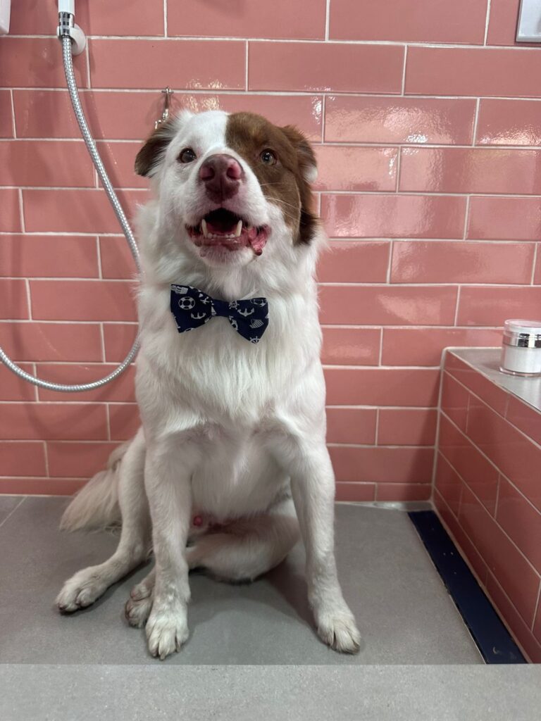 WhatsApp Image 2025-11-05 at 19.54.49 (1)