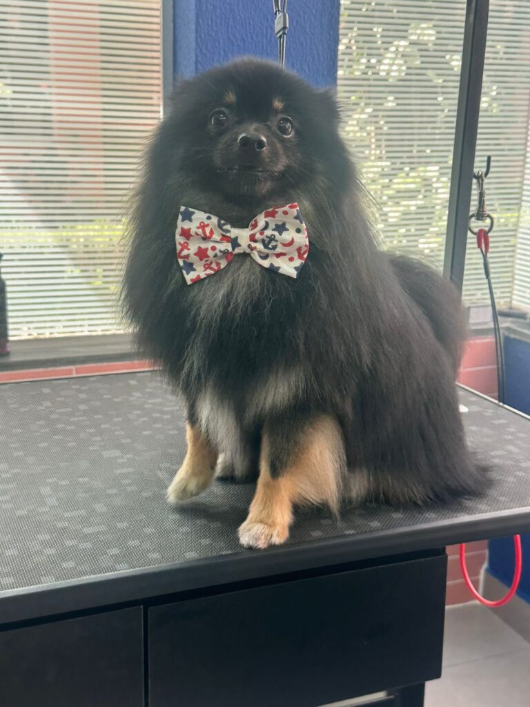 WhatsApp Image 2025-11-05 at 19.54.51 (3)