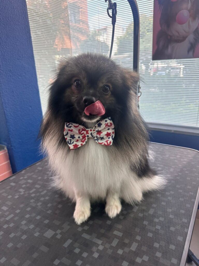 WhatsApp Image 2025-11-05 at 19.54.51