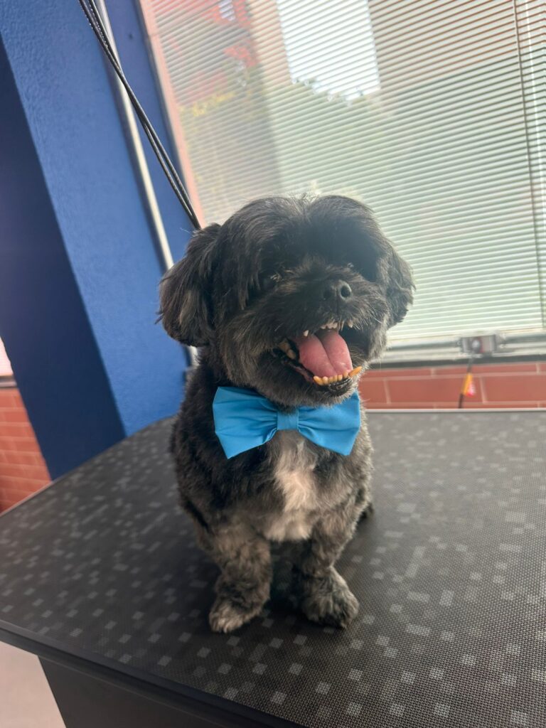 WhatsApp Image 2025-11-05 at 19.54.51 (8)